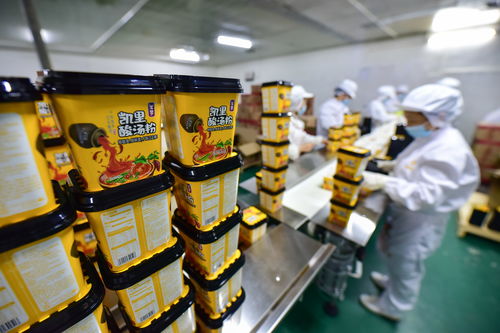 贵州麻江 食品企业创新发展促就业助增收